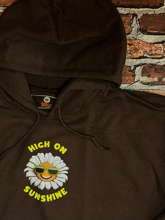 High on Sunshine Summer Hoodie