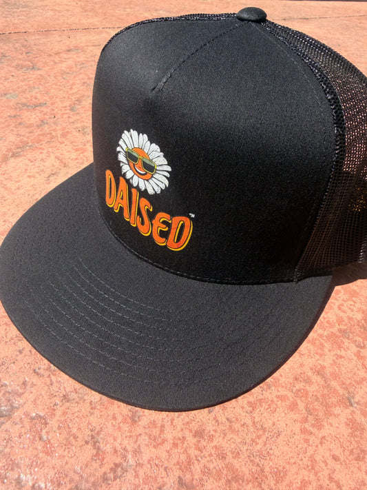 Sun Dazed Trucker