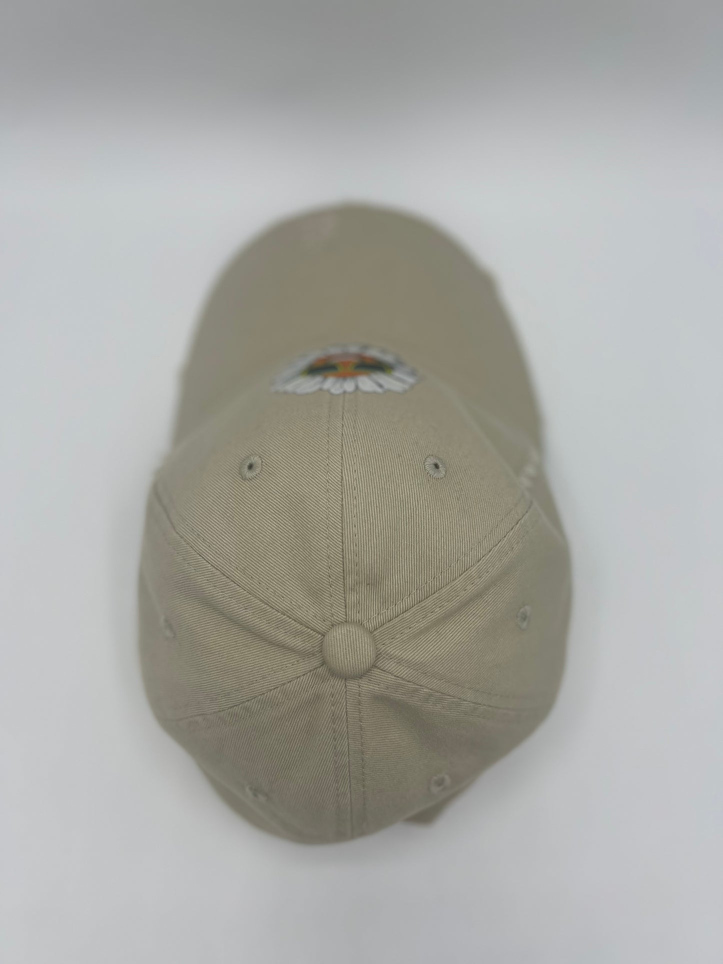Daised Distressed Dad Cap