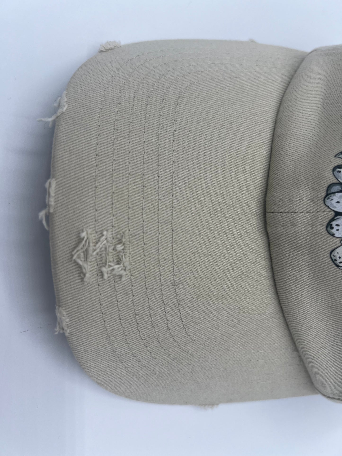 Daised Distressed Dad Cap