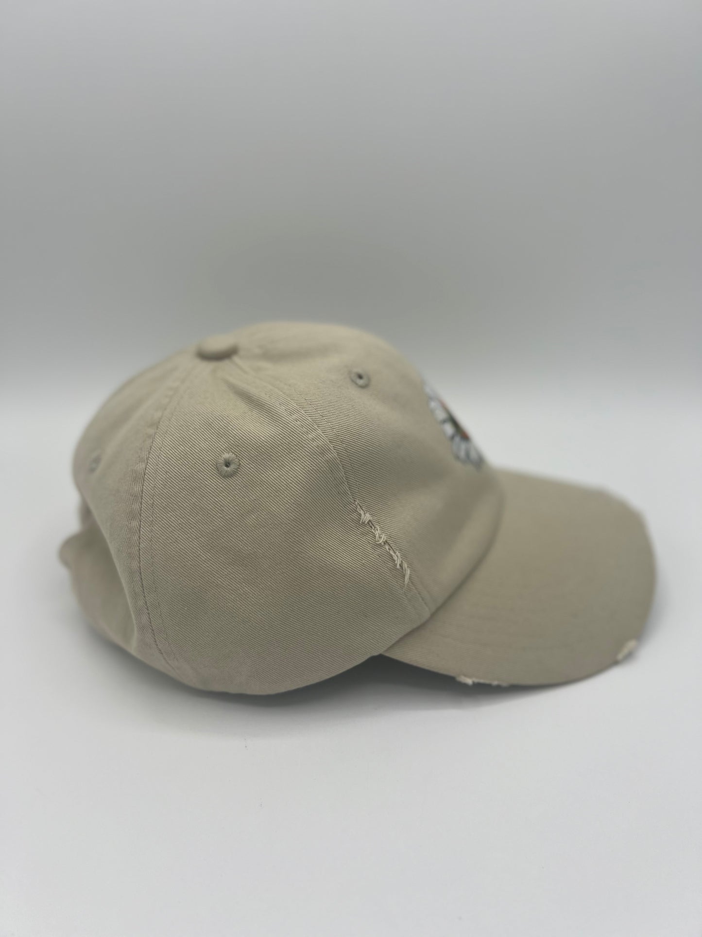 Daised Distressed Dad Cap