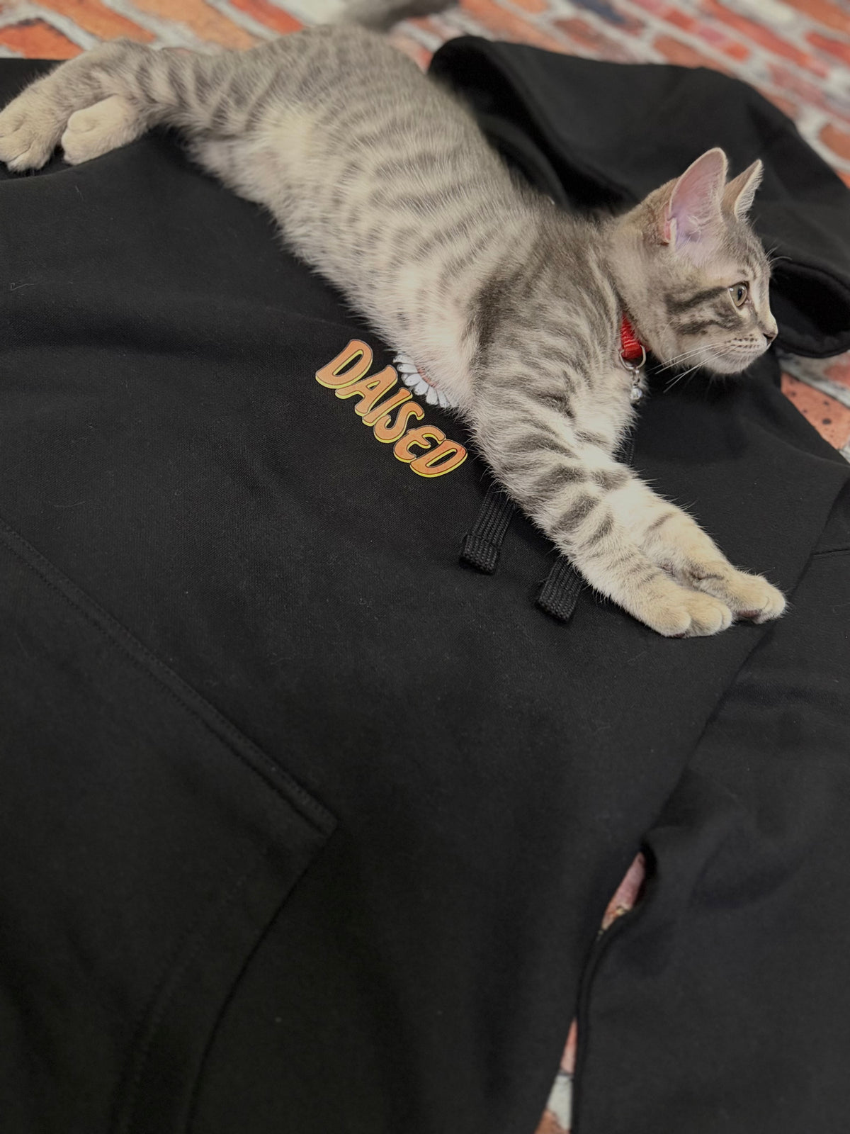 Daised Hoodie