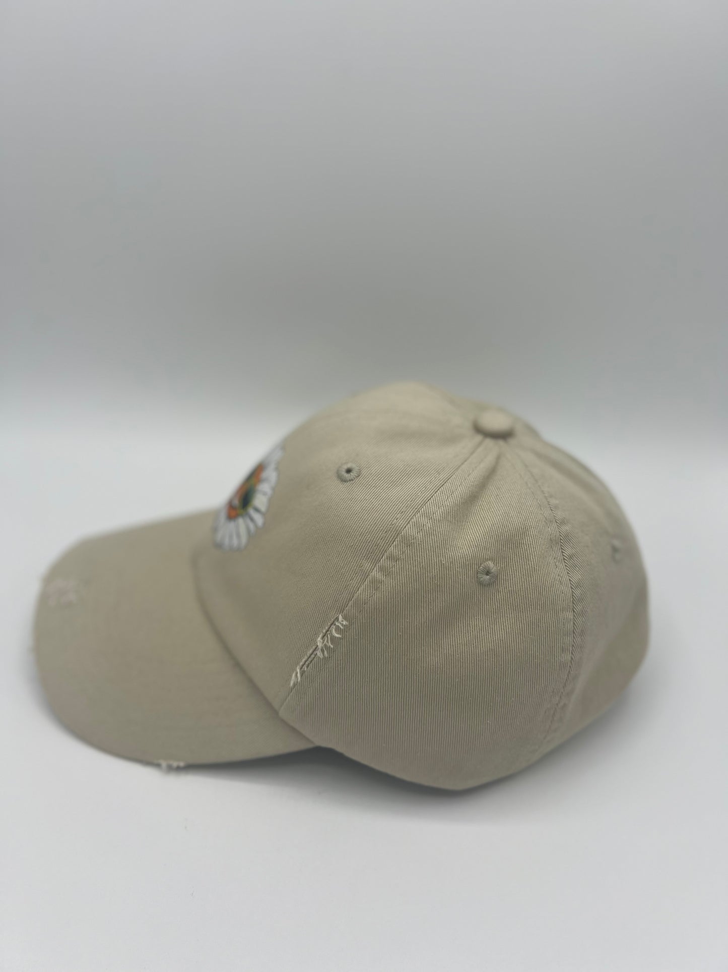 Daised Distressed Dad Cap