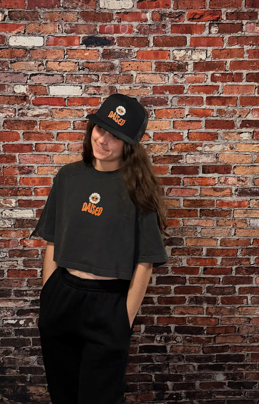 The Oversized Crop