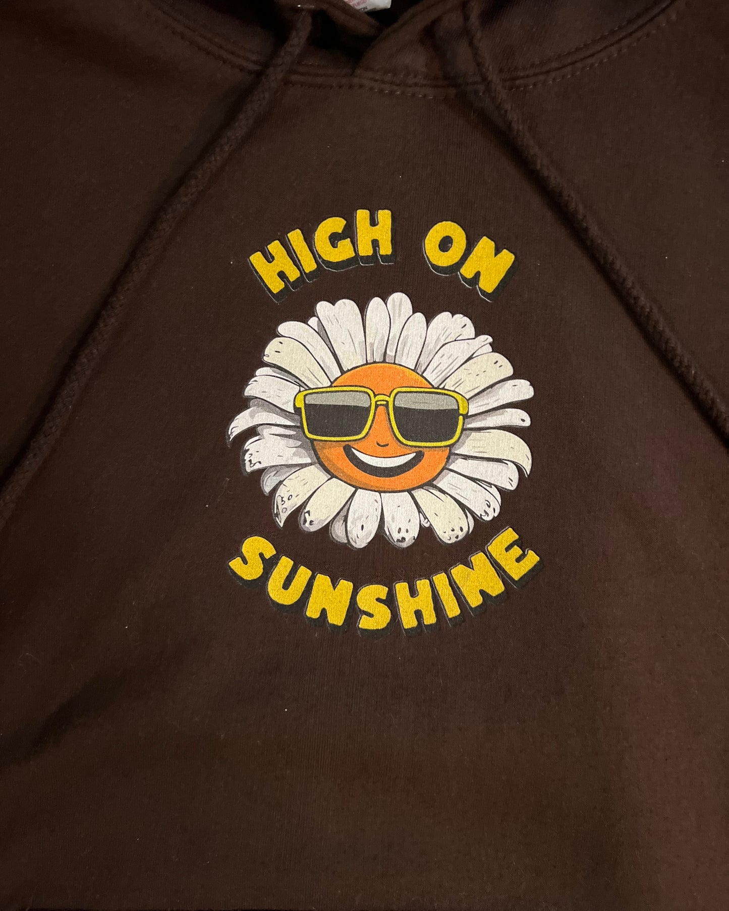 High on Sunshine Summer Hoodie