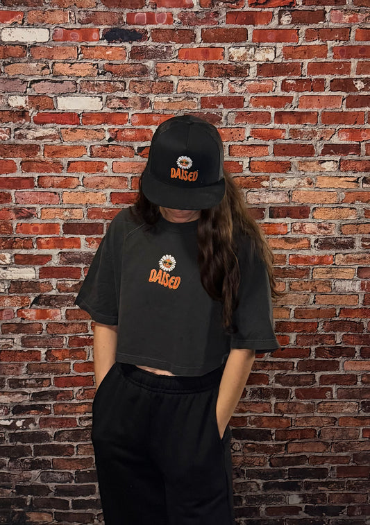 The Oversized Crop