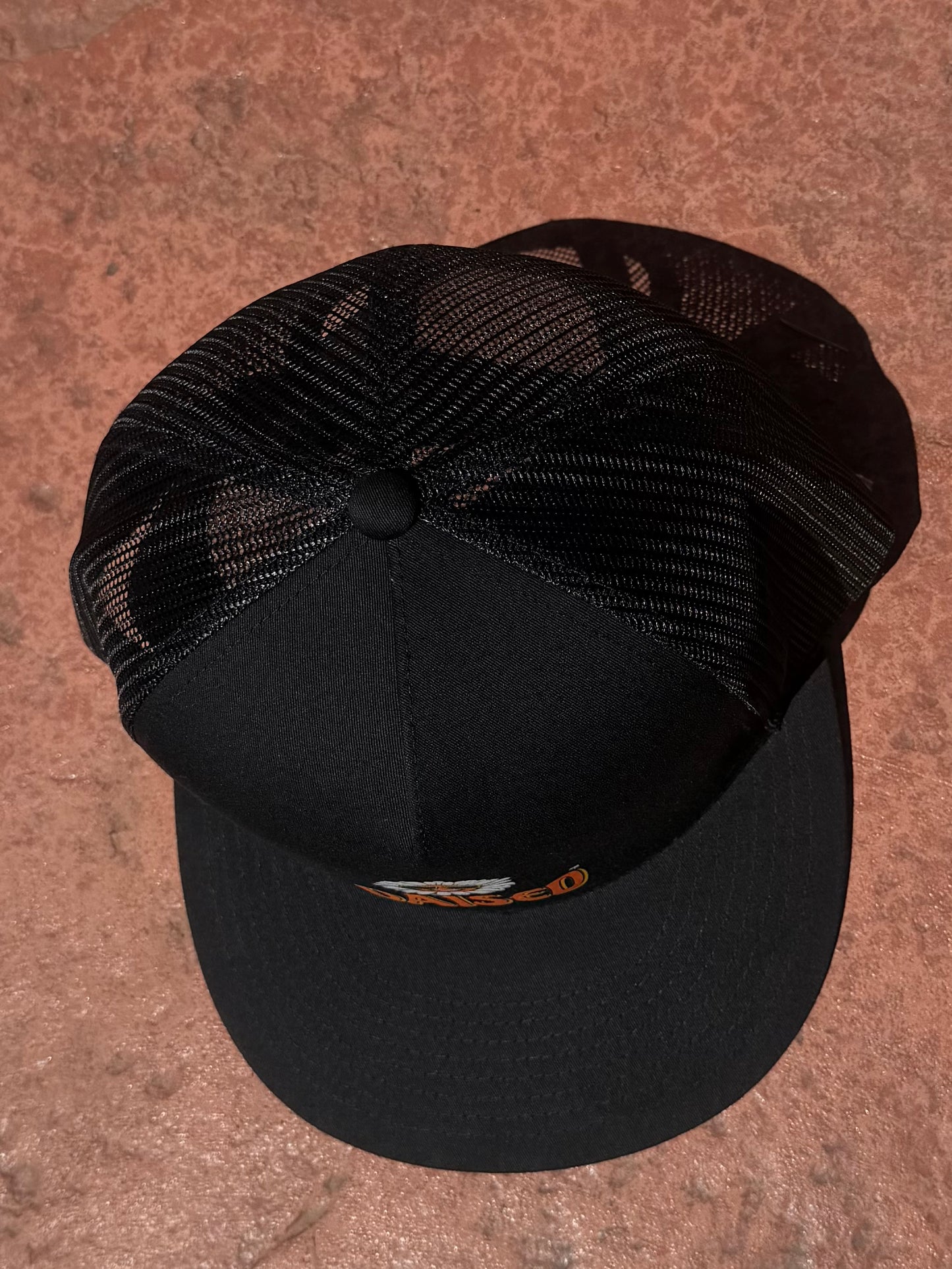 Sun Dazed Trucker