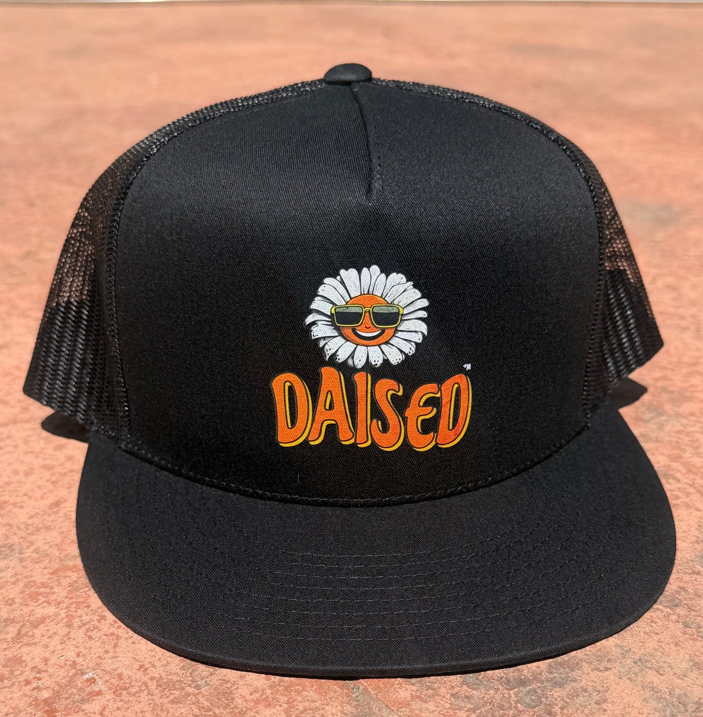 Sun Dazed Trucker