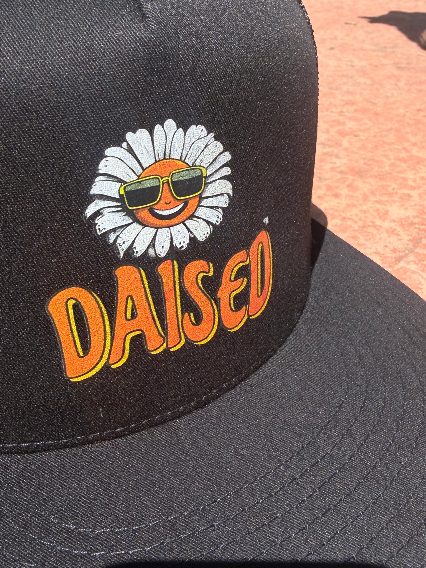 Sun Dazed Trucker