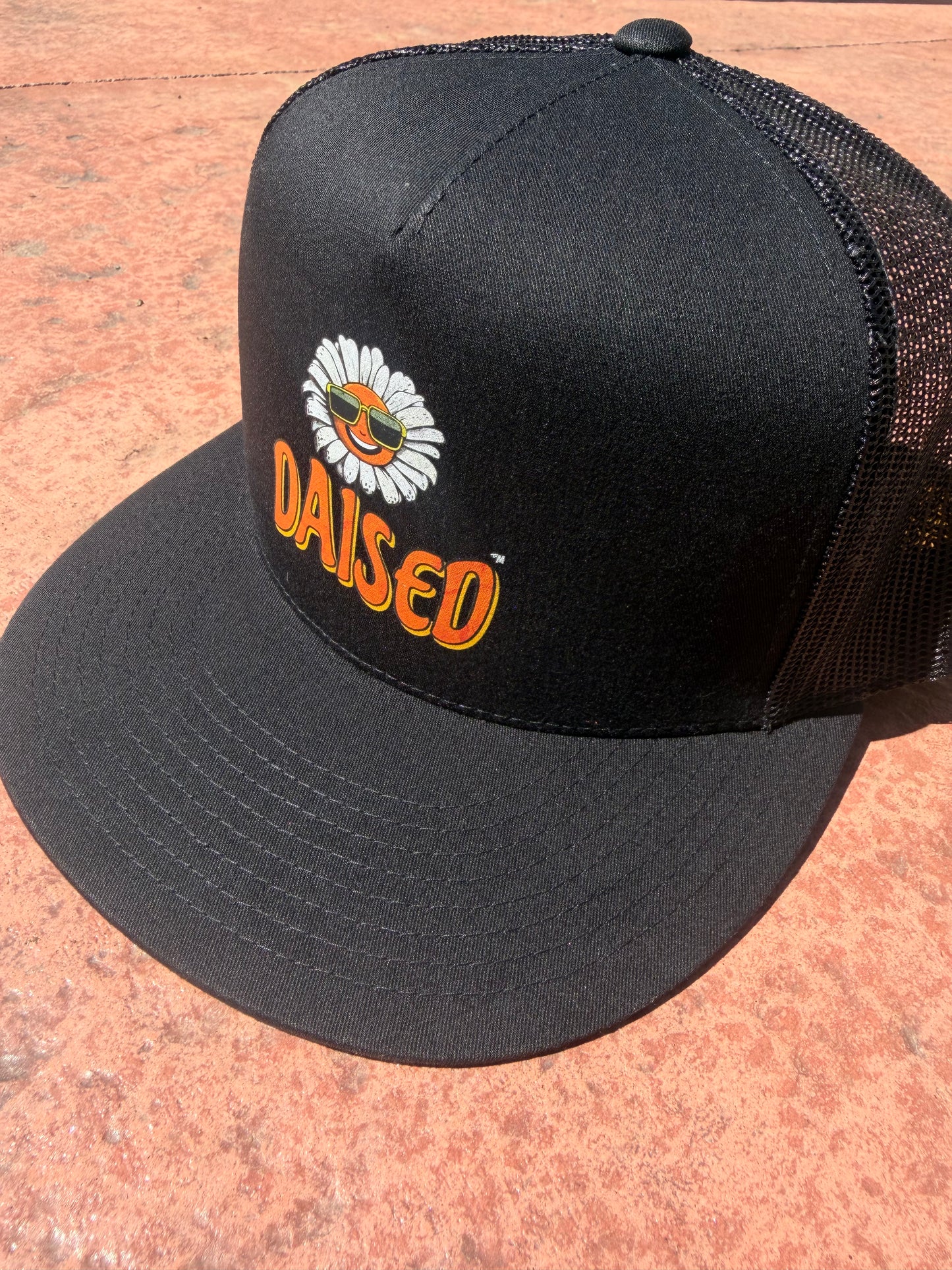 Sun Dazed Trucker
